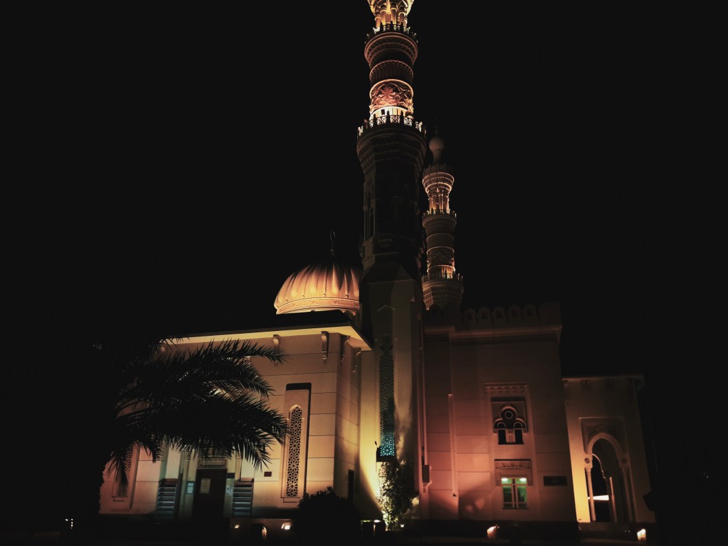 Processed with VSCO with se3 preset