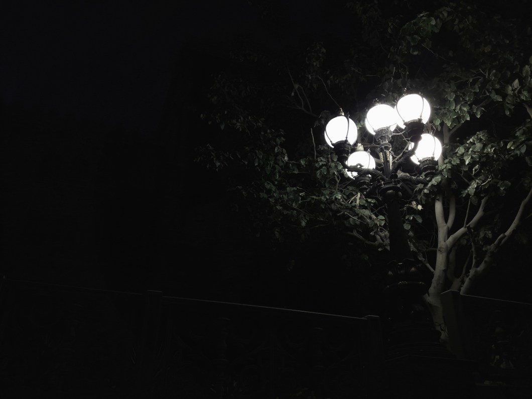 Processed with VSCO with se3 preset