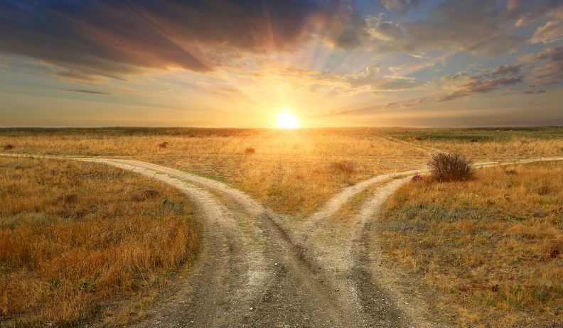 two-paths-diverge