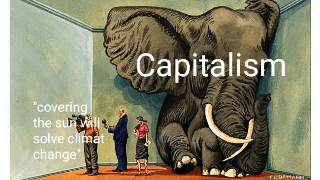 capitalism elephant in the room harming environment